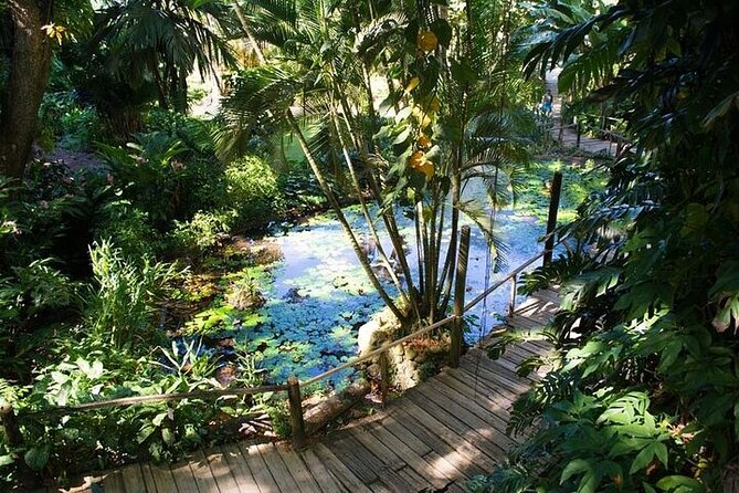 Full Day Discover Nadi Tour ( From Sigatoka Coral coast Hotels ) - Sabeto Hot Springs and the mud pool ritual