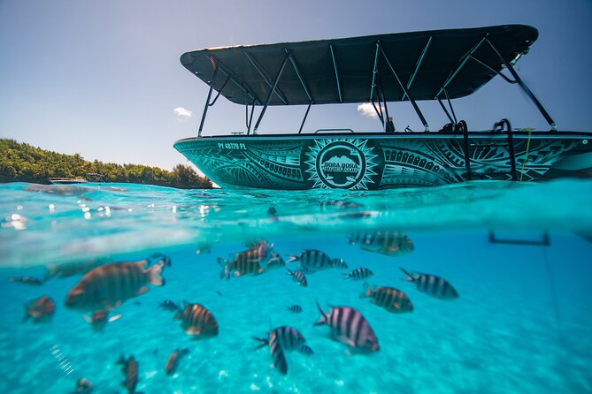 Full Day Eco Snorkeling & Traditional BBQ Lunch on a Motu - Why this six-hour lagoon day works so well