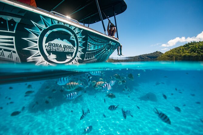 Full Day Eco Snorkeling & Traditional BBQ Lunch on a Motu - Is $204.06 a fair price?