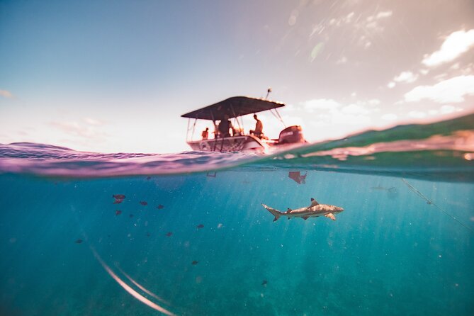 Full Day Eco Snorkeling & Traditional BBQ Lunch on a Motu - Who should book this tour?
