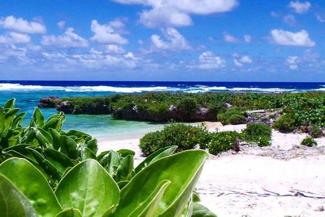 Full-Day Efate Round Island Trip with Yumi Tours - Nasinu Hot Springs: interesting in theory, basic in practice
