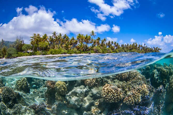 Full Day Lagoon Group Tour in Bora Bora with Lunch - What the boat ride adds to the day
