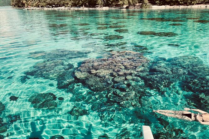 Full-day Lagoon Safari Tour with Lunch in Bora Bora - Shared tour - Local guides make the day feel less packaged