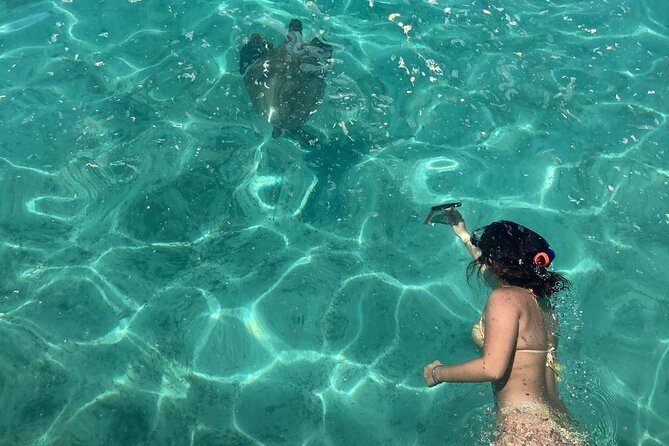 Full Day Nouméa Signal Island Turtle Tour - Key points to know before you book