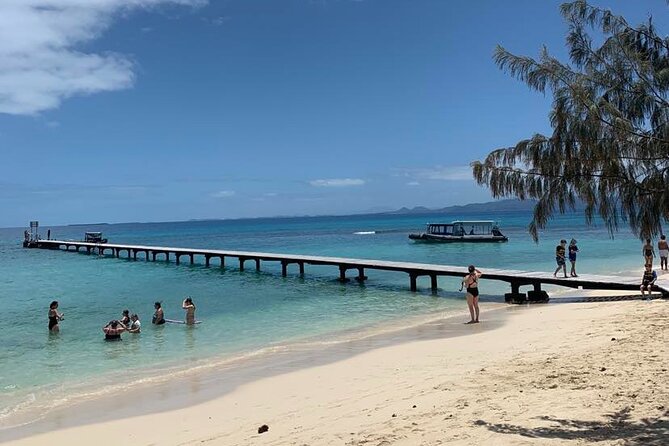 Full Day Nouméa Signal Island Turtle Tour - Snorkel equipment is a point to settle before departure