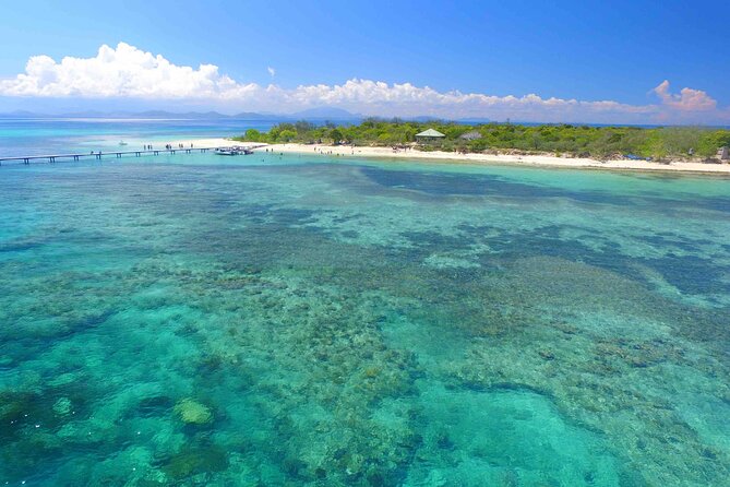 Full Day Nouméa Signal Island Turtle Tour - What the $61.07 price really covers