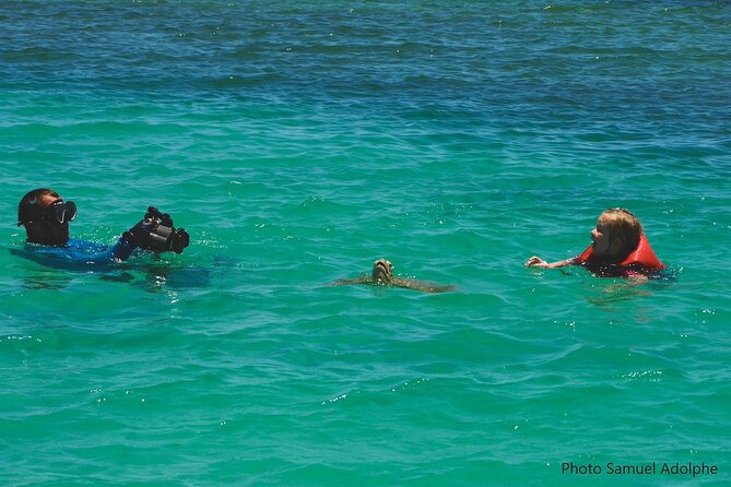 Full Day Nouméa Signal Island Turtle Tour - The return to Nouméa is straightforward