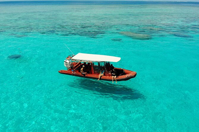 Full Day Nouméa Signal Island Turtle Tour - The morning departure from Port Brunelet