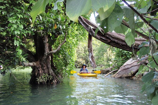 Full Day River Kayaking & Cascades from Port Vila - Two hours on the safe waters of Rentapao River