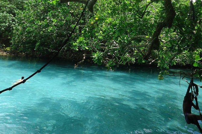Full-Day Scenic Tour around the Island Tour from Port Vila - What makes this Efate tour worth considering