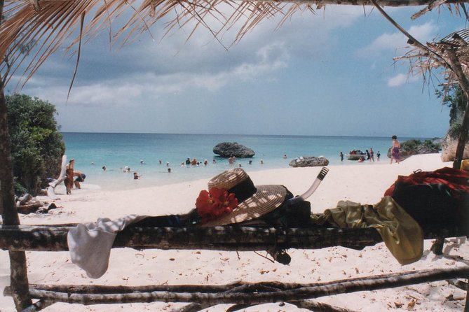 Full Day Snorkelling Cruise in Tranquility Island Resort - What the $121.93 price covers
