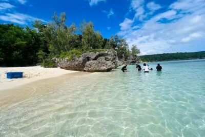 Full Day Snorkelling Cruise in Tranquility Island Resort
