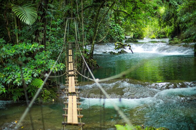 Full Day Tour Cascades Adventure, Turtles and Blue Lagoon - Key Points to Know Before Booking