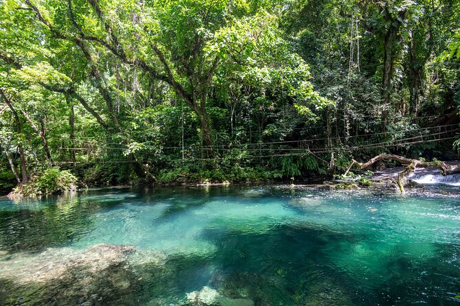 Full Day Tour Cascades Adventure, Turtles and Blue Lagoon - What $140 Covers