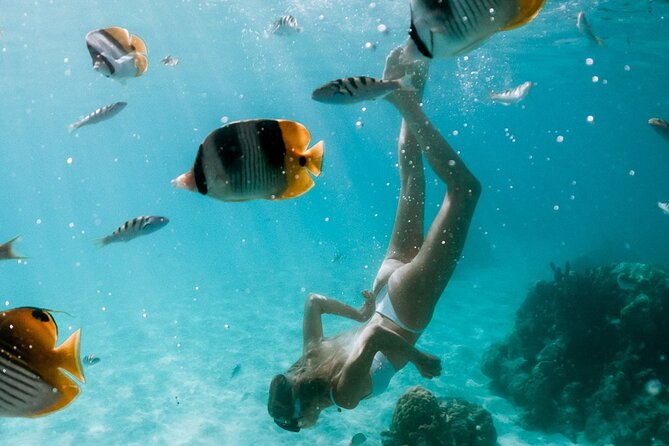 Full Day Tour : Moorea Snorkeling & Sunset Cruise on a Catamaran named Taboo - Why Taboo works as a full-day Moorea outing