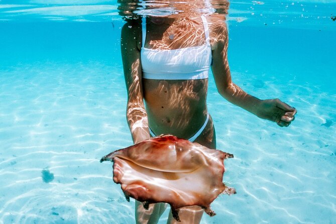 Full Day Tour : Moorea Snorkeling & Sunset Cruise on a Catamaran named Taboo - Coral gardens, clams, and underwater Tikis
