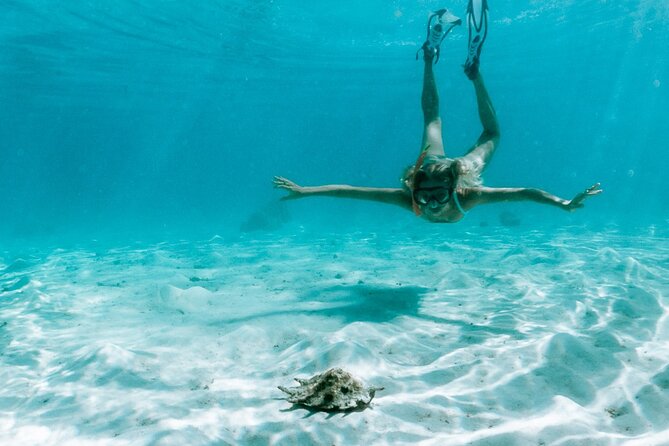 Full Day Tour : Moorea Snorkeling & Sunset Cruise on a Catamaran named Taboo - Sailing toward Cook’s Bay and Opunohu Bay