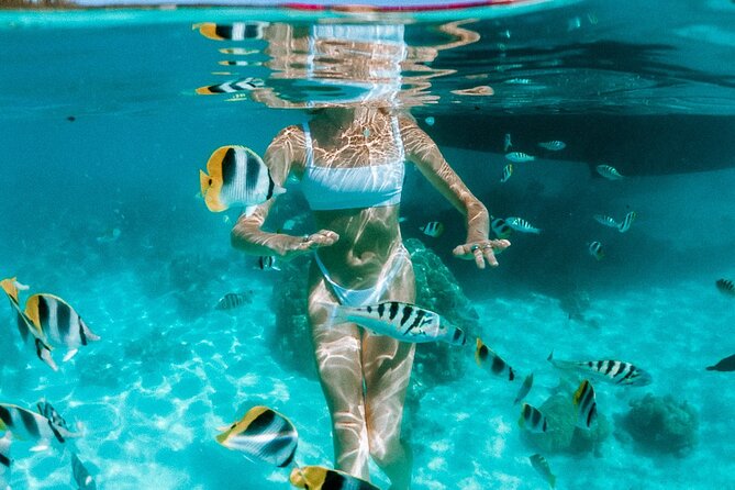 Full Day Tour : Moorea Snorkeling & Sunset Cruise on a Catamaran named Taboo - Meeting Taboo at Voila Moorea