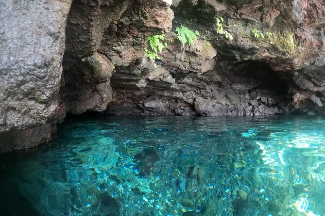Full-Day Upolu Island Highlights Tour from Apia - Papapapaitai Falls is a quick roadside spectacle