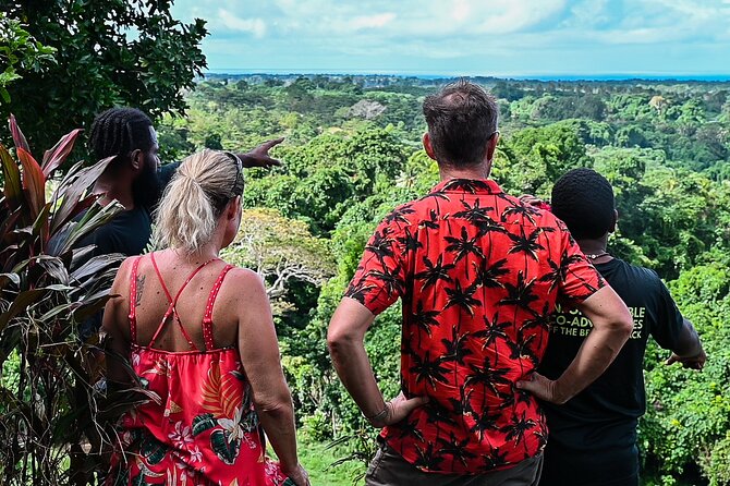 Full-Day Vanuatu Cultural, Blue Lagoon & Eden On The River Tour - Lunch and the practical value of the package