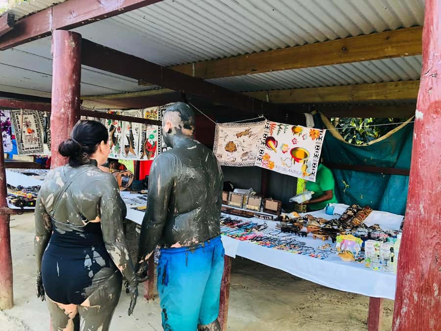 Garden of Sleeping Giant with Sabeto Hotspring Mudpool Tour - A Half-Day Outing From Nadi Into Sabeto Valley