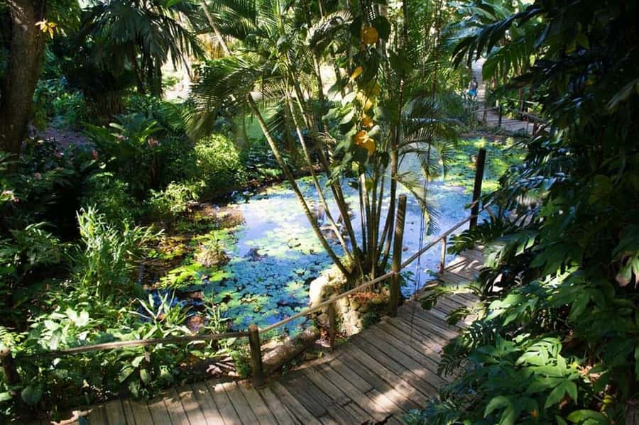Garden of Sleeping Giant with Tifajek Mudpool Hotspring Tour - What the $65 price really covers