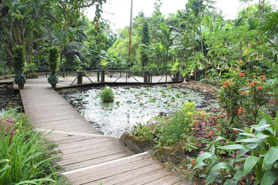 Garden of Sleeping Giant with Tifajek Mudpool Hotspring Tour - Booking flexibility and timing