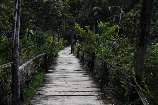 garden of the sleeping giant and mudpool tour combo - Why this pairing works so well in Fiji