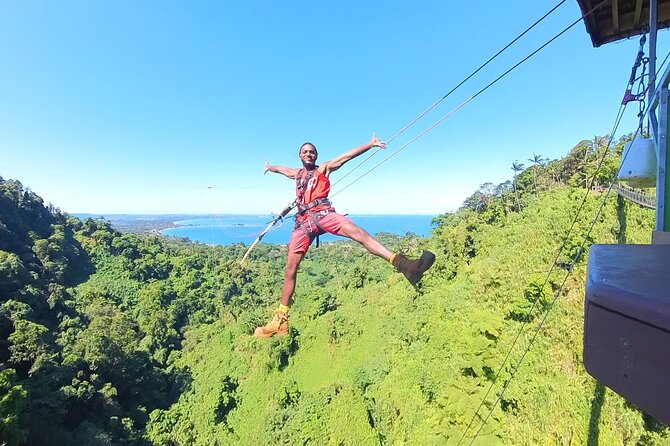 Giant Canyon Swing with Transfers - Key points before you book
