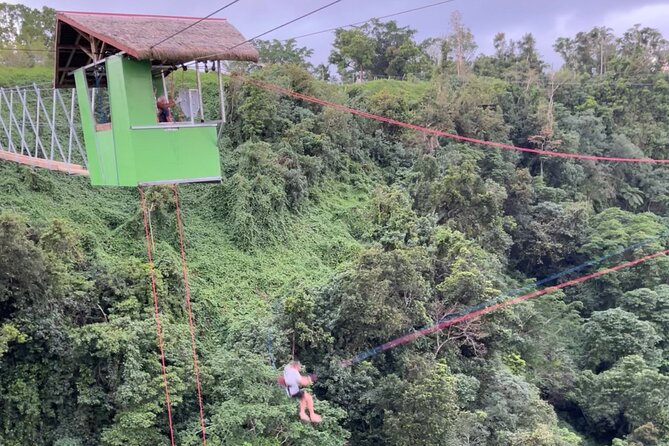 Giant Canyon Swing with Transfers - The Skybridge gives the best view of the action