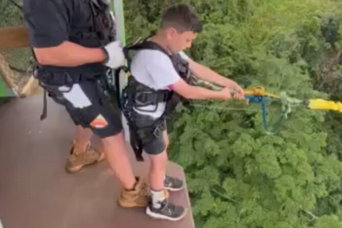 Giant Canyon Swing with Transfers - Price and value at $100.41