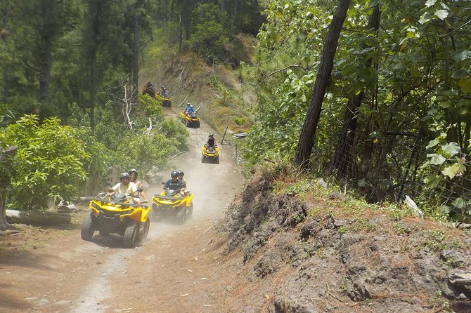 Grand Tour Quad Excursion in Moorea (Single or Two-Seater) - What the riding feels like on the trail