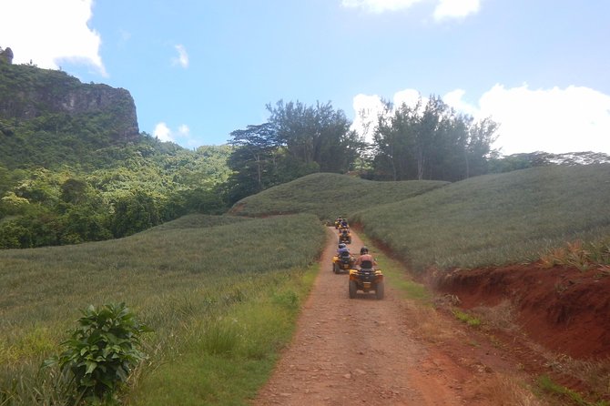 Grand Tour Quad Excursion in Moorea (Single or Two-Seater) - Guides, photos, and the human side of the tour