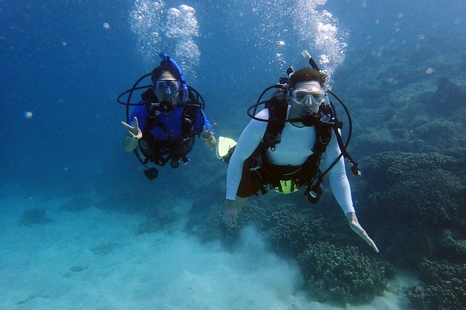 Guam's Best Beach Diving! Beginner and Advanced Dives - What is included, and what you still need to bring