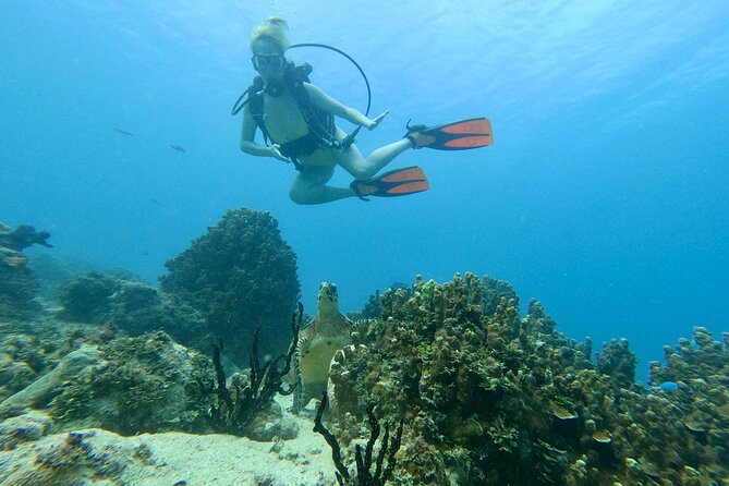 Guam's Best Beach Diving! Beginner and Advanced Dives - Who will get the most from this outing?