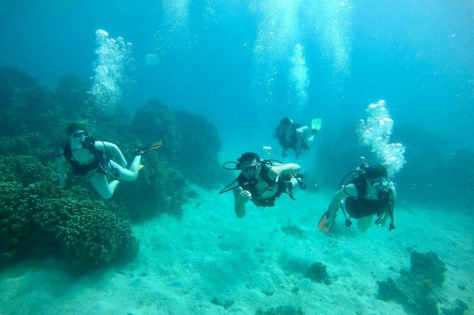 Guam's Best Beach Diving! Beginner and Advanced Dives - The briefing makes the first underwater minutes easier