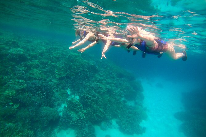 Guam's Private 5 Star Guided Snorkeling Tour! - Quick points about this Guam reef tour