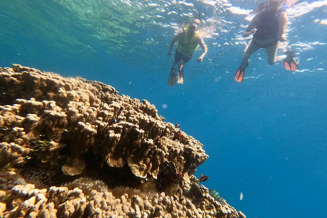 Guam's Private 5 Star Guided Snorkeling Tour! - Starting at Guam Ocean Adventures in Piti