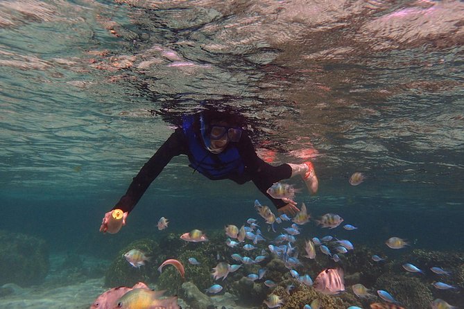 Guam's Private 5 Star Guided Snorkeling Tour! - Why guide Bob matters for beginners