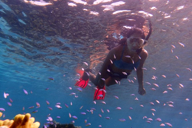 Guam's Private 5 Star Guided Snorkeling Tour! - The $180 price and what you receive