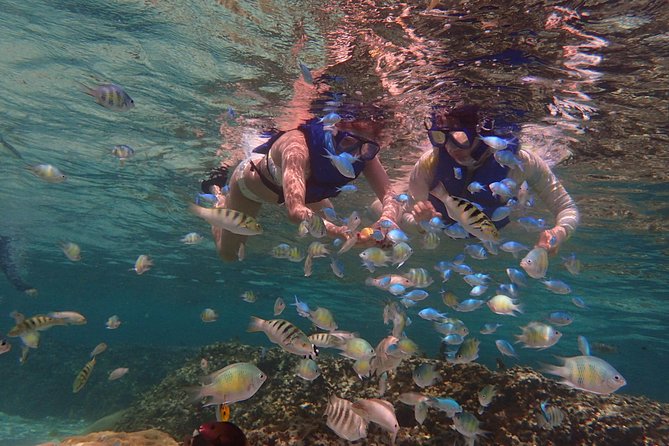 Guam's Private 5 Star Guided Snorkeling Tour! - A calm briefing before you enter the water