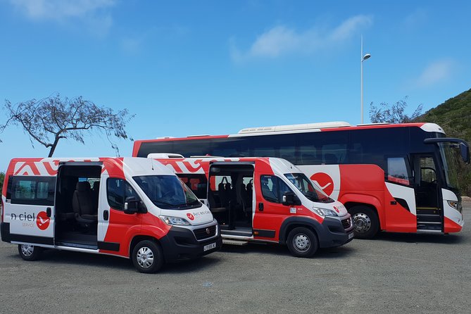 Guided City Orientation Tour of Noumea - What the guides add