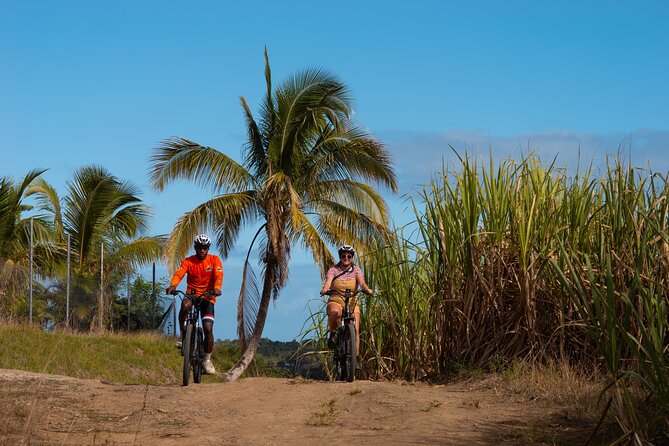 Guided E-bike Tour - Rolling into cane country and village roads