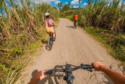 Guided E-bike Tour