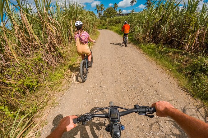 Guided E-bike Tour - The 8:00 am start near Naboutini