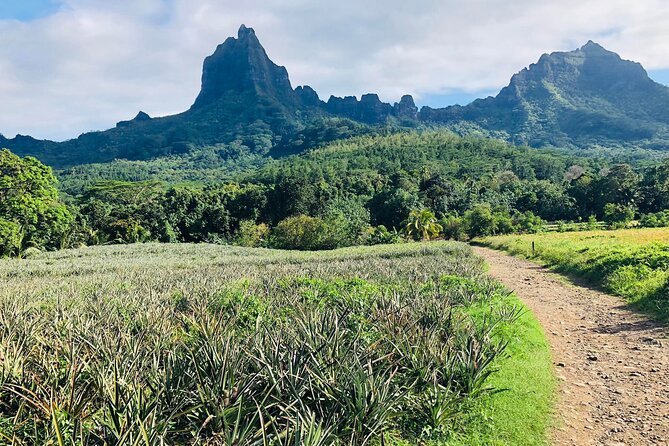 Guided Excursion in 4x4 in Moorea between Land and Sea - Belvedere Lookout frames two famous bays