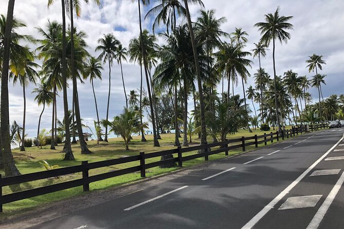 Guided Excursion in 4x4 in Moorea between Land and Sea - Motu Tiahura brings two hours of easy beach time
