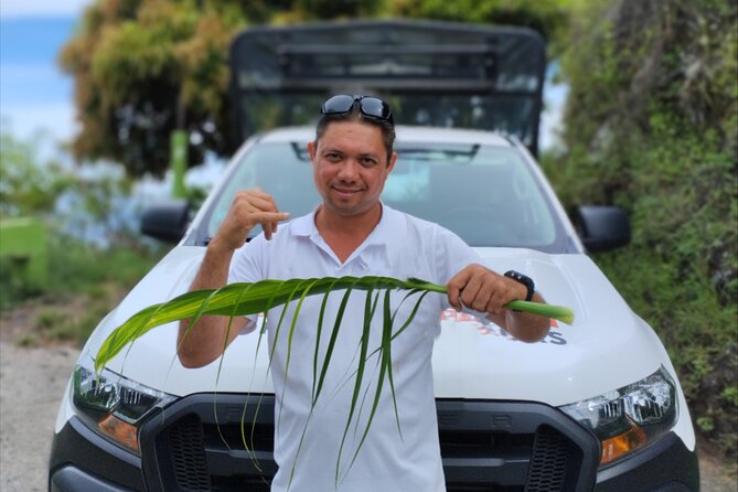 Guided Excursion in 4x4 in Moorea between Land and Sea - Opunohu Valley trades resort scenery for island life