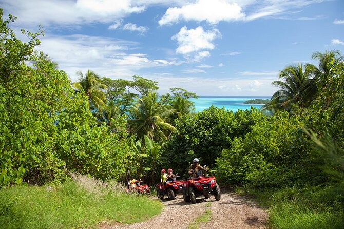 Guided Tour of Bora Bora by Quad - Teonetere, a shaded jungle break