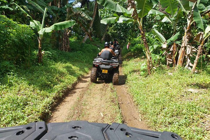 Guided tour of the island and its escapades in Tahaa by Quad / ATV - Patio fruit tasting and frozen coconut